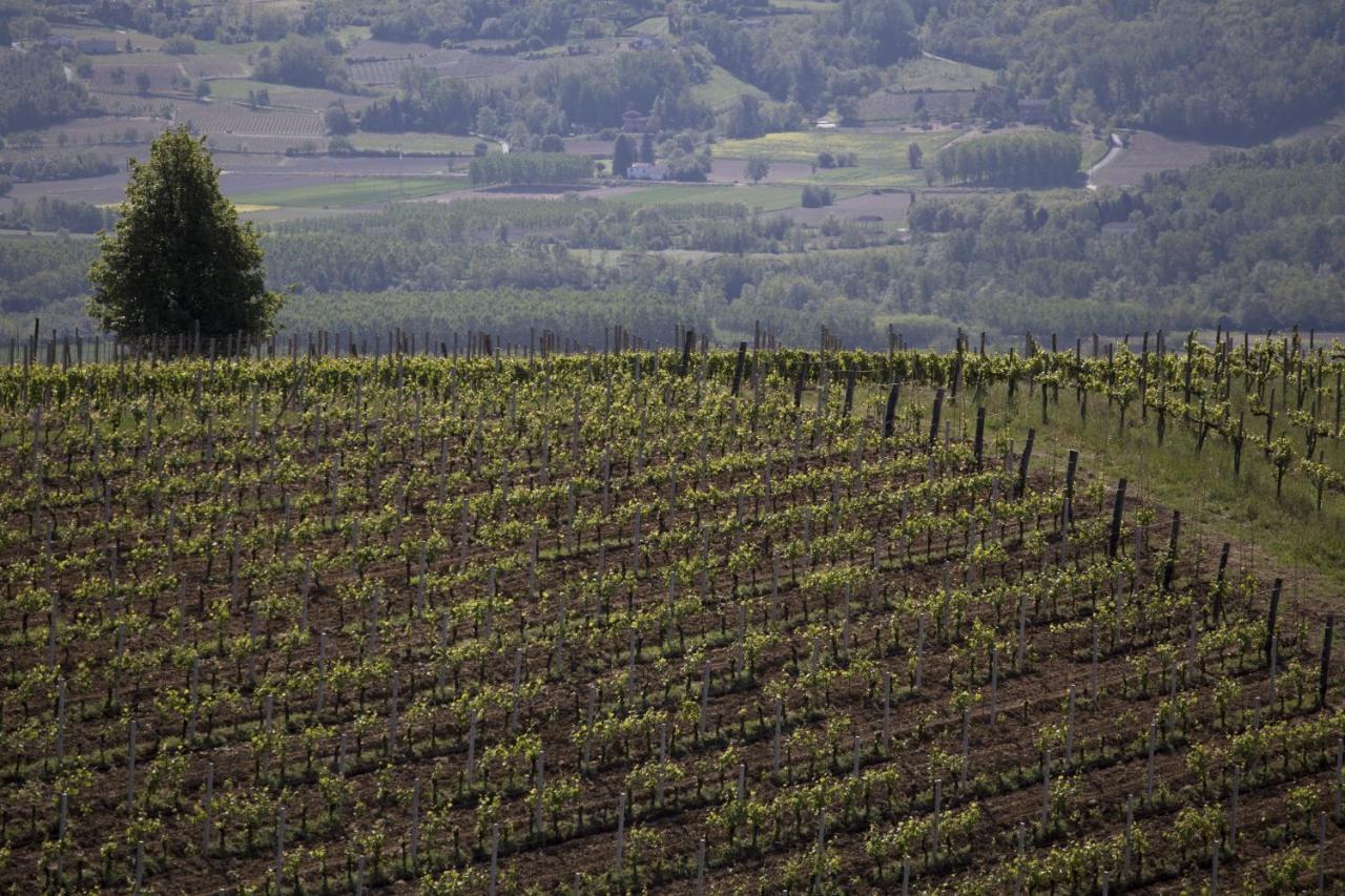 Cascina Marcantonio Acqui Terme ภายนอก รูปภาพ