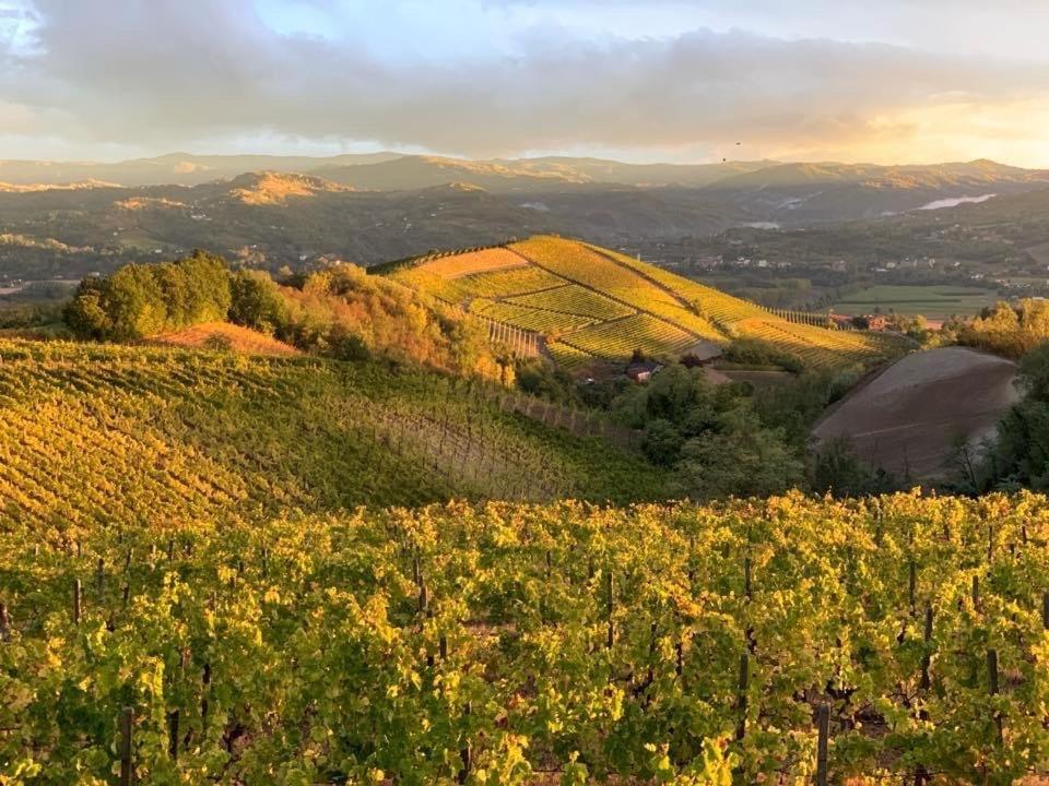 Cascina Marcantonio Acqui Terme ภายนอก รูปภาพ